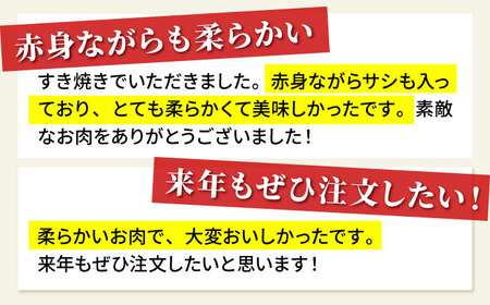 【12/15入金まで年内発送】佐賀牛赤身スライス750g HBH058 赤身 スライス 佐賀牛 国産