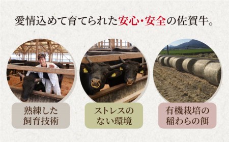 佐賀牛 A5 牛すじ 300g×2パック HAD118 国産 黒毛和牛