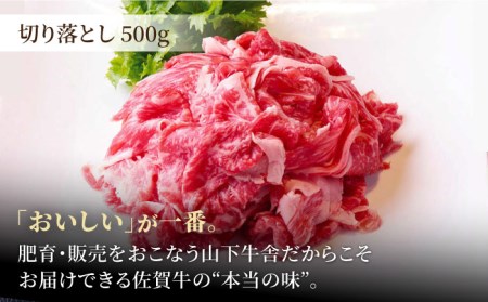 【全12回定期便】佐賀牛 A5 おうちごはんセットA（切り落とし 500g・ミンチ 300g・牛すじ 300g） HAD123 切り落とし