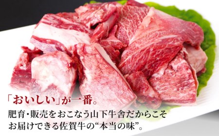 【全6回定期便】佐賀牛 A5 牛すじ（300g×2パック） HAD132 