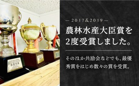 全6回定期便】佐賀牛 切り落とし 500g【田中畜産牛肉店】[HBH131] 佐賀