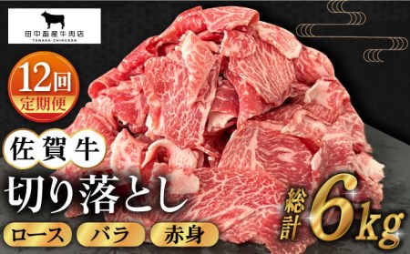 【全12回定期便】佐賀牛切り落とし500g HBH132 切り落とし 佐賀牛 国産 和牛