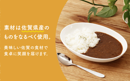 【全3回定期便】Ranaカレー4袋セット HCK006 カレー 定期便