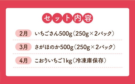 【全3回定期便】いちご 食べ尽くし定期（さがほのか いちごさん こおりいちご）[HAF027] いちご 定期 いちご いちごさん 定期便 冷凍いちご