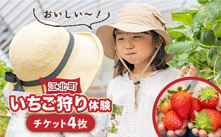 【先行予約】【五感で楽しむ】いちご狩り体験チケット 4枚【花祭いちごの谷】HBN005 チケット