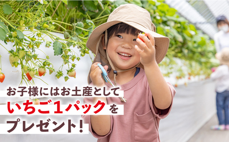 【先行予約】【五感で楽しむ】いちご狩り体験チケット 4枚【花祭いちごの谷】HBN005 チケット