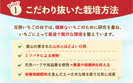 【先行予約】【五感で楽しむ】いちご狩り体験チケット 4枚【花祭いちごの谷】HBN005 チケット