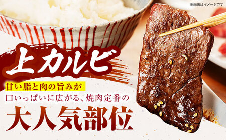 佐賀牛 上カルビ 500g HCS006 カルビ BBQ