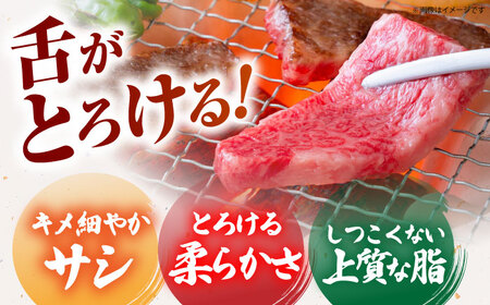 佐賀牛 上カルビ 500g HCS006 カルビ BBQ