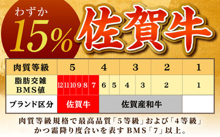 佐賀牛ヒレステーキ 計400g（200g×2パック）【がばいフーズ】[HCS016]黒毛和牛 牛肉 肉 フィレ ヒレ ステーキ用 ヒレ肉 フィレ肉 赤身 焼肉 BBQ