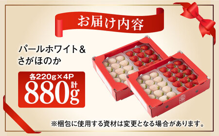 【先行予約】「さがほのか」と「パールホワイト」220g×各2パック 計4パック / いちご [IAQ017]