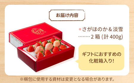 【先行予約】淡雪＆さがほのか 計400g / いちご [IAP032]