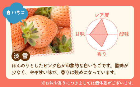 【先行予約】淡雪＆さがほのか 計400g / いちご [IAP032]