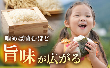 R7年産ひのひかり5kg （白米）/ 白米 [ICD011]