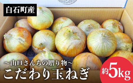 農家直送！こだわり玉ねぎ 約5kg 〜山口さんちの贈り物〜【y'scompany】/玉ねぎ たまねぎ 玉葱 タマネギ 白石町産 玉ねぎ たまねぎ 玉葱 タマネギ 晩生 玉ねぎ たまねぎ 玉葱 タマネギ [IAS011]