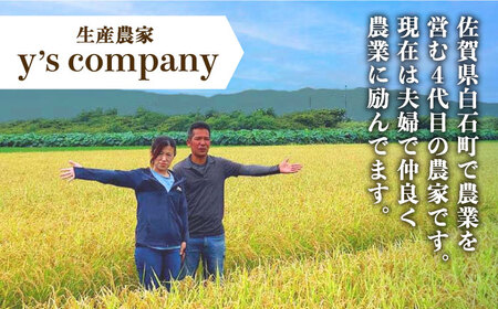 農家直送！こだわり玉ねぎ 約5kg 〜山口さんちの贈り物〜【y'scompany】/玉ねぎ たまねぎ 玉葱 タマネギ 白石町産 玉ねぎ たまねぎ 玉葱 タマネギ 晩生 玉ねぎ たまねぎ 玉葱 タマネギ [IAS011]