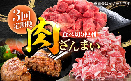 【3回定期便】肉ざんまい定期便（一人暮らし向け・少量） / 牛肉 [IAX047]