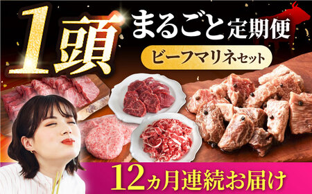 【12回定期便】しろいし牛1頭まるごと 食卓定期便 / 牛肉  [IAH223]