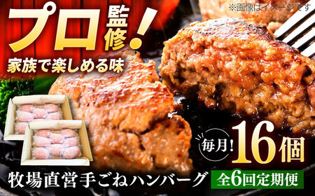【6回定期便】自家製ハンバーグ16個 / ハンバーグ [IAX061]