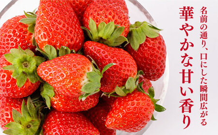 【先行予約】「かおり野」240g×4パック / いちご [IBJ012]
