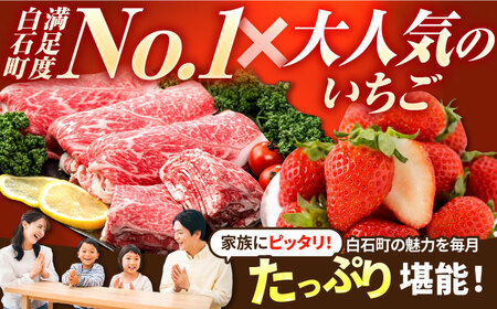 【先行予約】【全6回定期便】しろいしの味覚よくばりセット（赤いちご3種と佐賀県産黒毛和牛）[IZZ021]