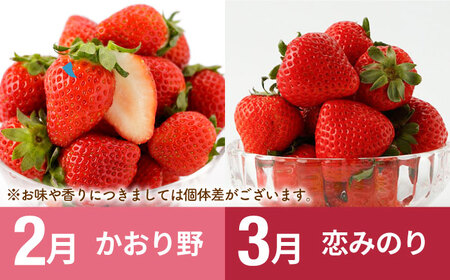 【先行予約】【全6回定期便】しろいしの味覚よくばりセット（赤いちご3種と佐賀県産黒毛和牛）[IZZ021]