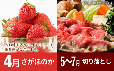 【先行予約】【全6回定期便】しろいしの味覚よくばりセット（赤いちご3種と佐賀県産黒毛和牛）[IZZ021]