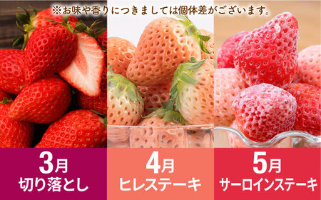 【R8年1月以降発送】【全11回定期便】赤白いちご5種と佐賀牛のセット / いちご 牛肉 [IZZ030]