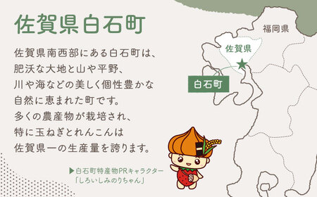 【返礼品なし】佐賀県白石町 ふるさとづくり応援寄附金（10,000円分）  [IZY006]