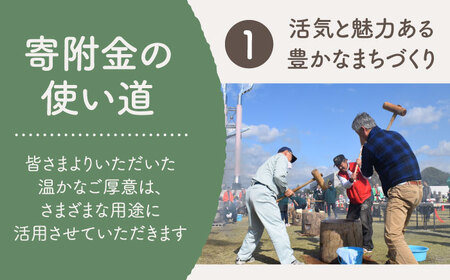 【返礼品なし】佐賀県白石町 ふるさとづくり応援寄附金（10,000円分）  [IZY006]