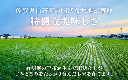 【令和7年産】 さがびより10kg / 九州 [IDE002]