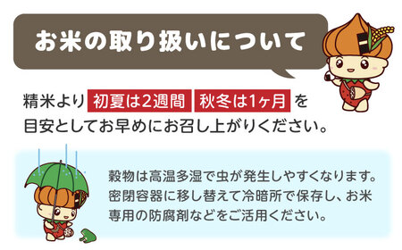 【令和7年産】 さがびより10kg / 九州 [IDE002]