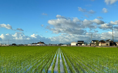 【令和7年産】 夢しずく10kg / 九州 [IDE004]