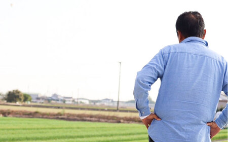 【令和7年産】 夢しずく10kg / 九州 [IDE004]