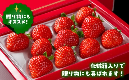 先行予約】【化粧箱入り】いちご さがほのか400g / いちご [IAP003