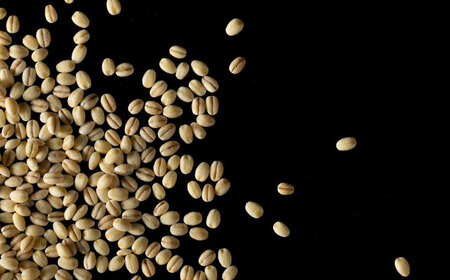 【全2回定期便】キラリモチ もち麦 2kg / もち麦 [IBV008]