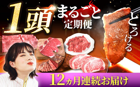 【12回定期便】佐賀県産 1頭まるごと 定期便 / 牛肉 [IAH225]