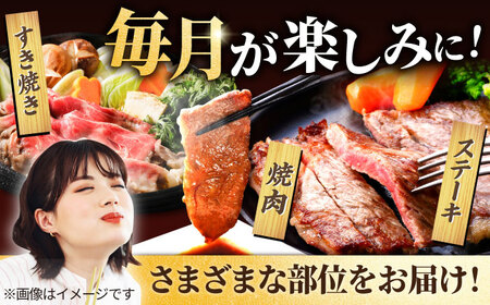 【12回定期便】佐賀県産 1頭まるごと 定期便 / 牛肉 [IAH225]