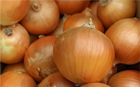 【先行予約】【2回定期便】晩生玉ねぎとスイートコーン / 玉ねぎ [IAO030]