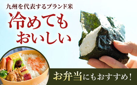 令和7年産さがびより2kg（白米） / お米 [ICD008]