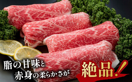 佐賀産和牛 牛肉切り落とし 750g / 牛肉切り落とし [IAG208]