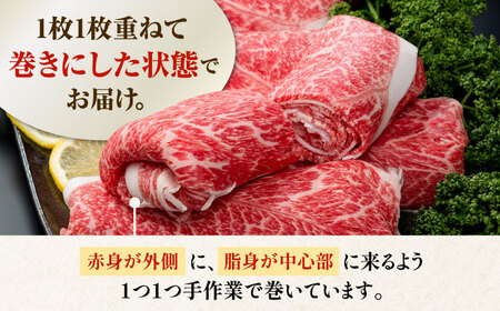 佐賀産和牛 牛肉切り落とし 750g / 牛肉切り落とし [IAG208]