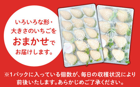 【R8年1月以降発送】 こころの色 220g×2パック / いちご [IBJ010]