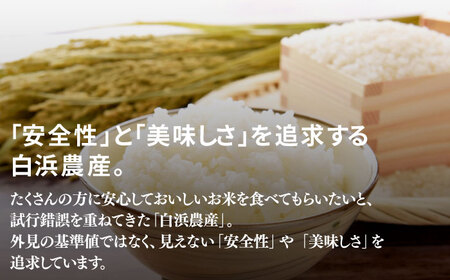 【R7年度産】夢しずく（白米） 20kg / お米 [IBL021]