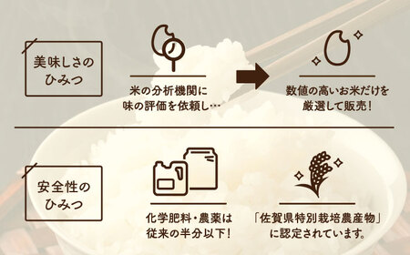 【R7年度産】夢しずく（白米） 20kg / お米 [IBL021]