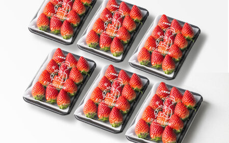 【R8年2月以降発送】いちごさん 240g×6パック 【8/12ICHIGOFARM】[IBR007]