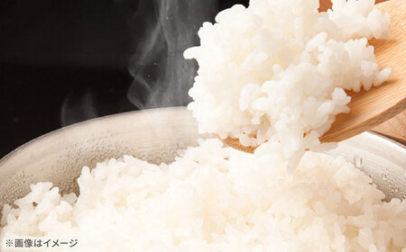 夢しずく 5kg 【直売所にじ】[IDO002]