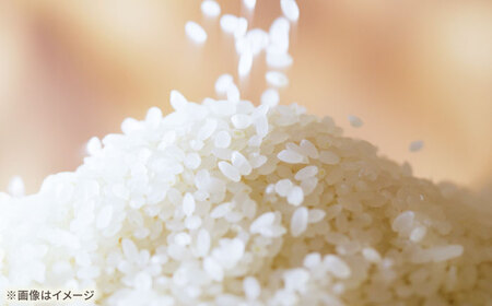 ひなたまる 5kg 【直売所にじ】[IDO003]