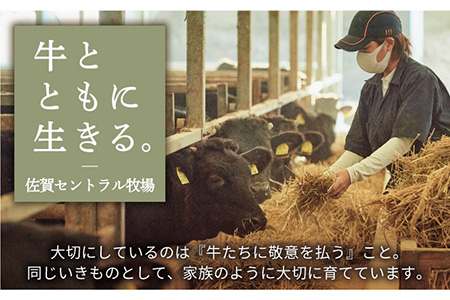 【牧場直送】【6回定期便】佐賀県産しろいし牛 焼肉用盛り合わせセット（希少部位）各回420g 【有限会社佐賀セントラル牧場】[IAH024]