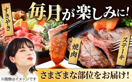 【6回定期便】牛肉 1頭まるごと定期便 / 牛肉 [IAH032]